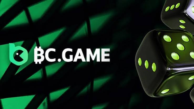 Understanding the BC.Game Mirror Login Process 869556130